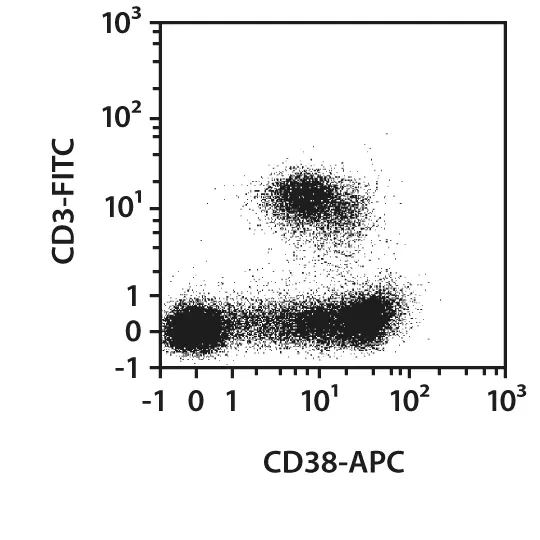 CD38 Antibody Anti Rat REAfinity Miltenyi Biotec India