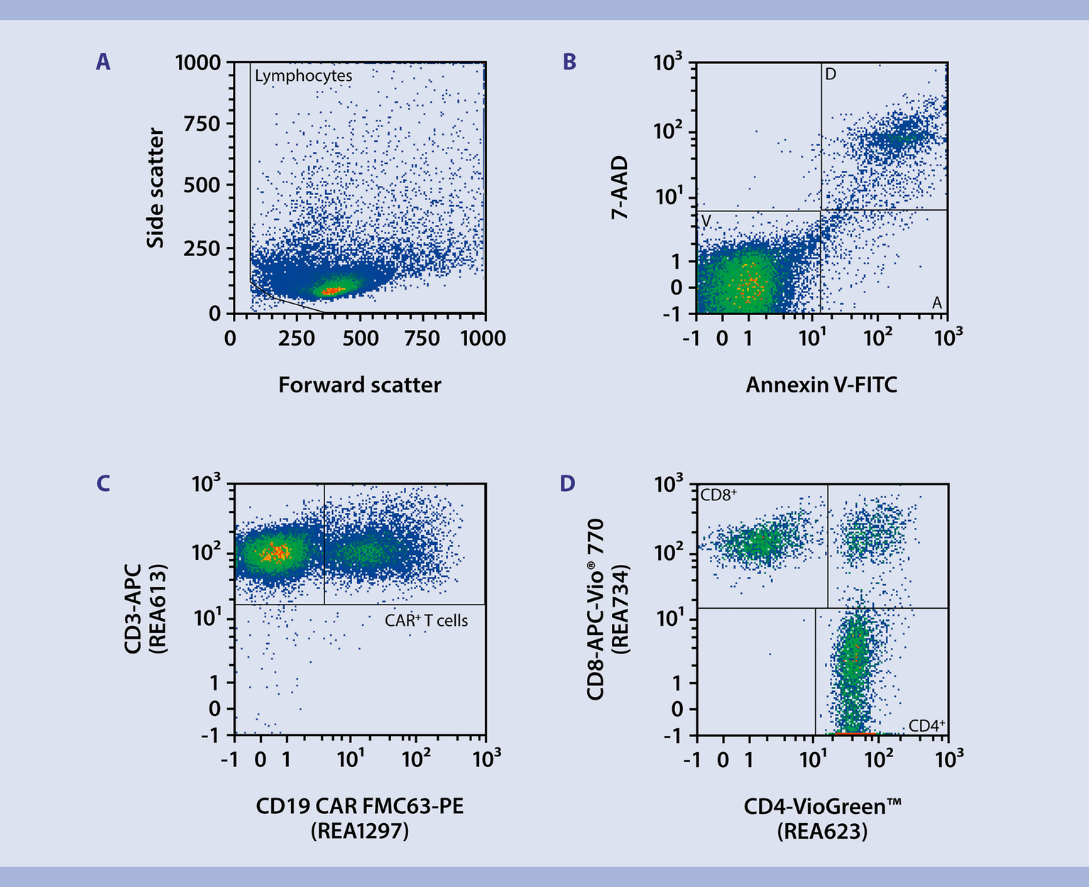 CAR T cells CAR T cell fitness Protocol Miltenyi Biotec 中国