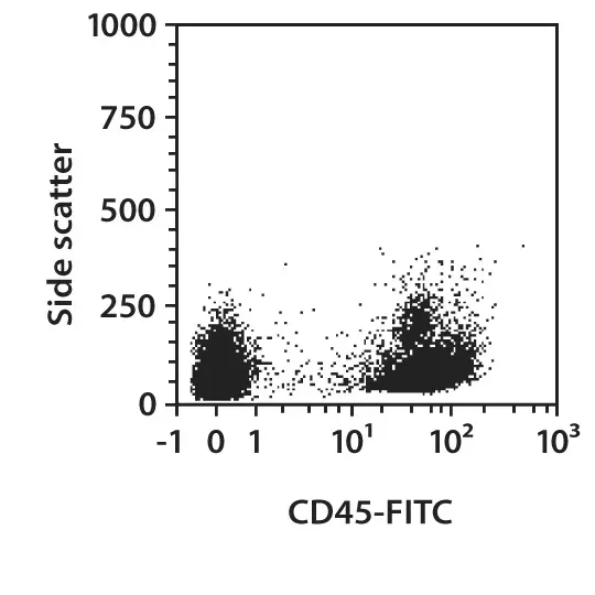 Cd Antibody Anti Mouse Miltenyi Biotec Usa