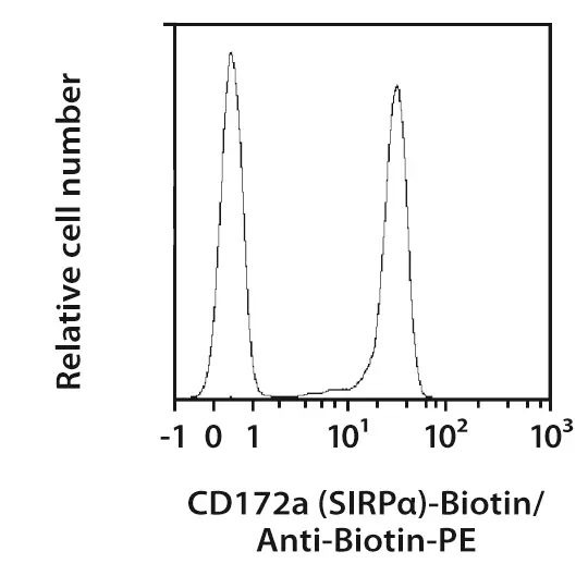 CD172a SIRPα Antibody anti human REAfinity Miltenyi Biotec USA