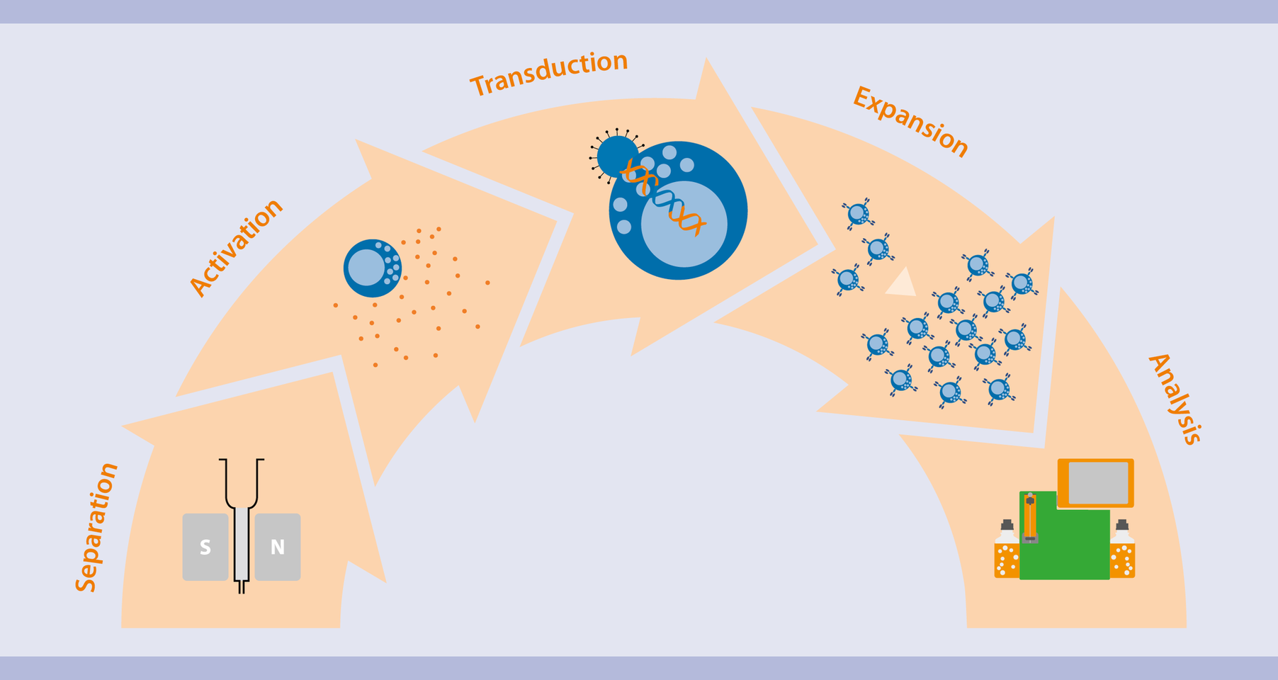 CAR NK Cell Research Workflow Phenotypic Characterization Miltenyi