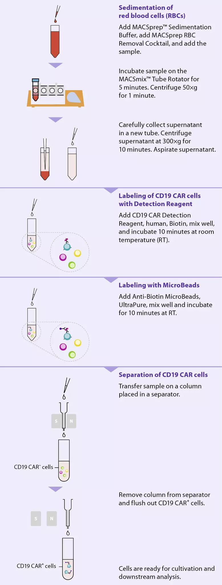 Macsprep Cd Car Microbead Kit Human Miltenyi Biotec Usa