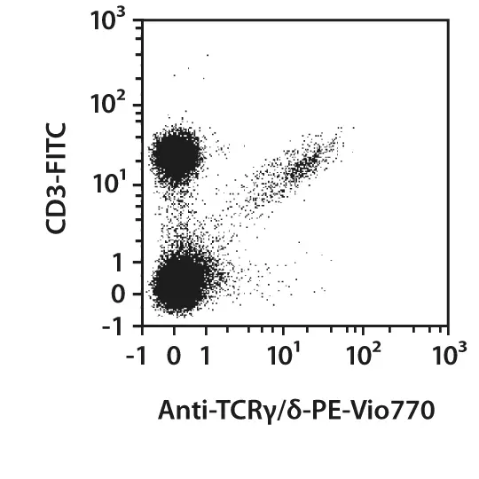 Tcr Antibody Anti Rat Reafinity Miltenyi Biotec Usa