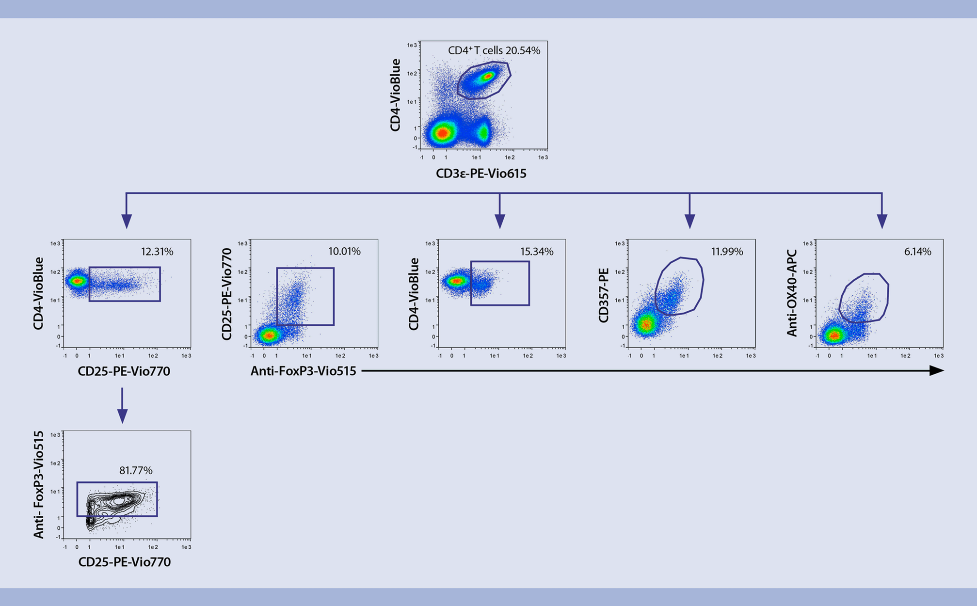 Tregs Mouse Spleen Flow Cytometry Miltenyi Biotec USA