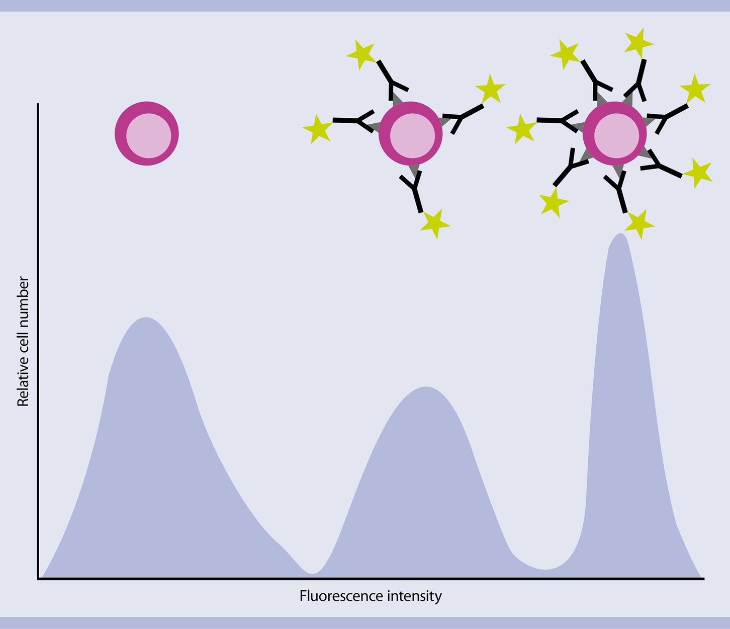 Flow Cytometry Basics Miltenyi Biotec Usa