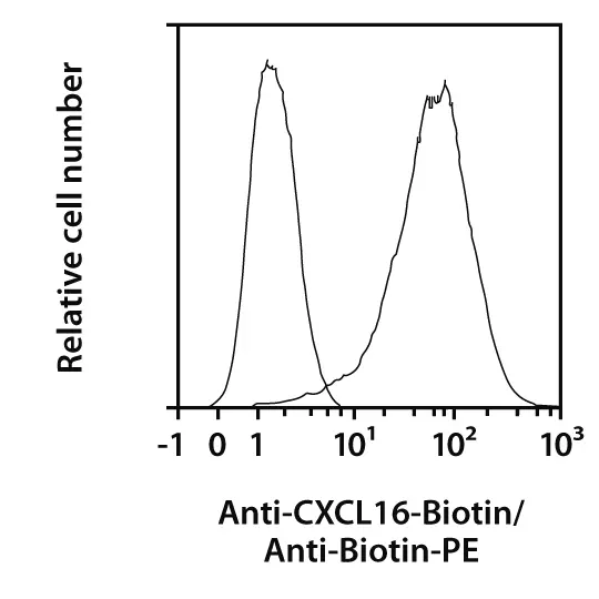 Cxcl Antibody Anti Human Reafinity Miltenyi Biotec Usa