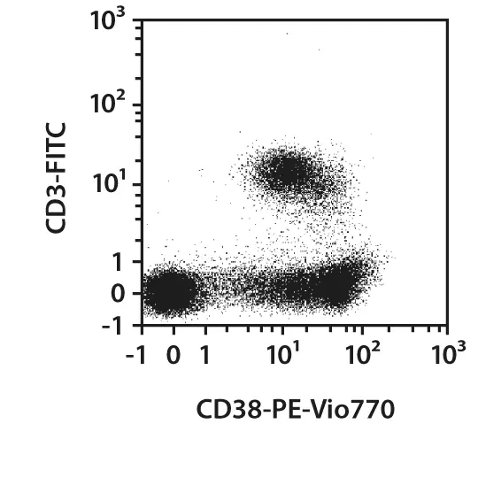 Cd Antibody Anti Rat Reafinity Miltenyi Biotec Usa