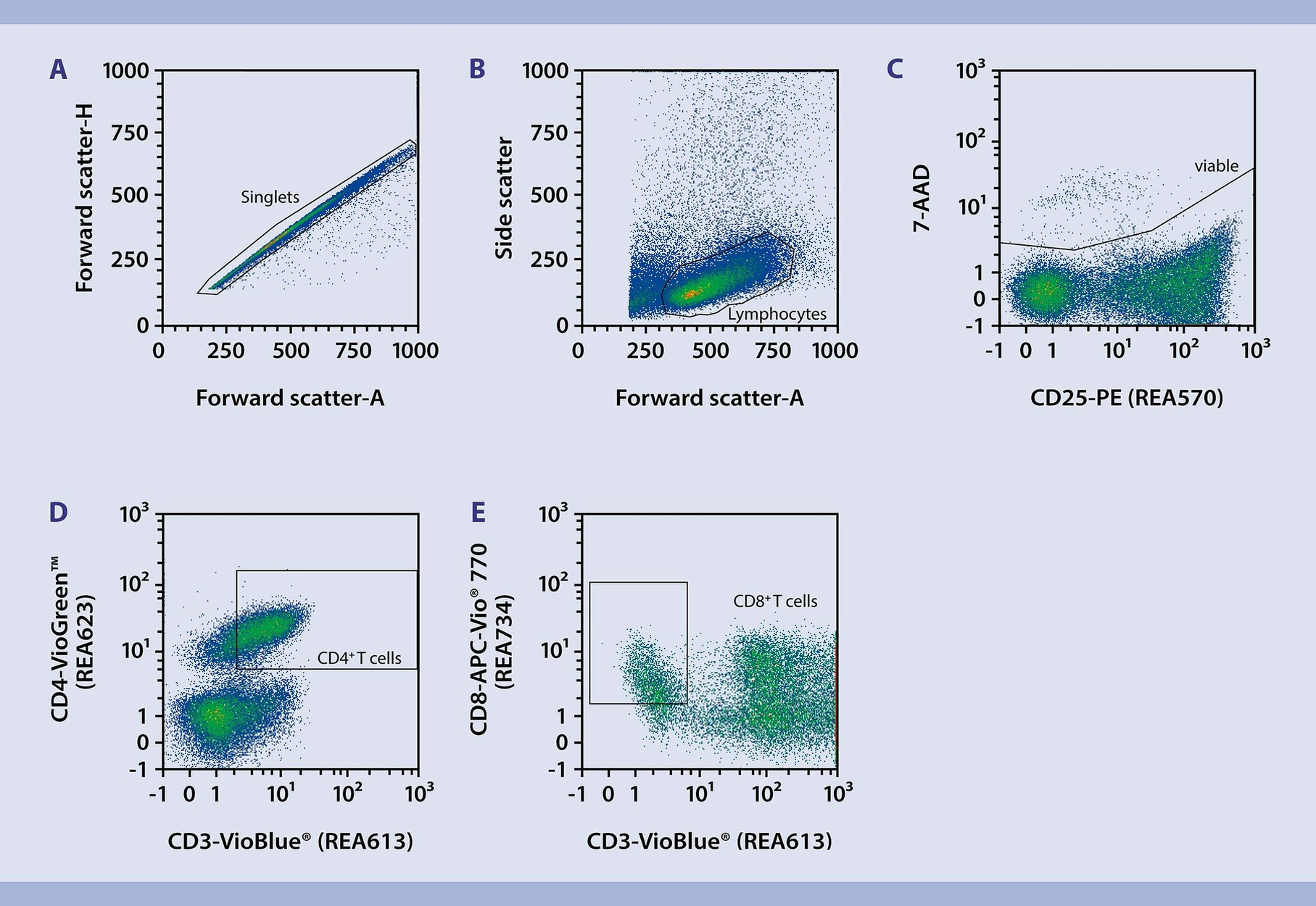 Immunophenotyping Cd Cd T Cell Differentiation Protocol