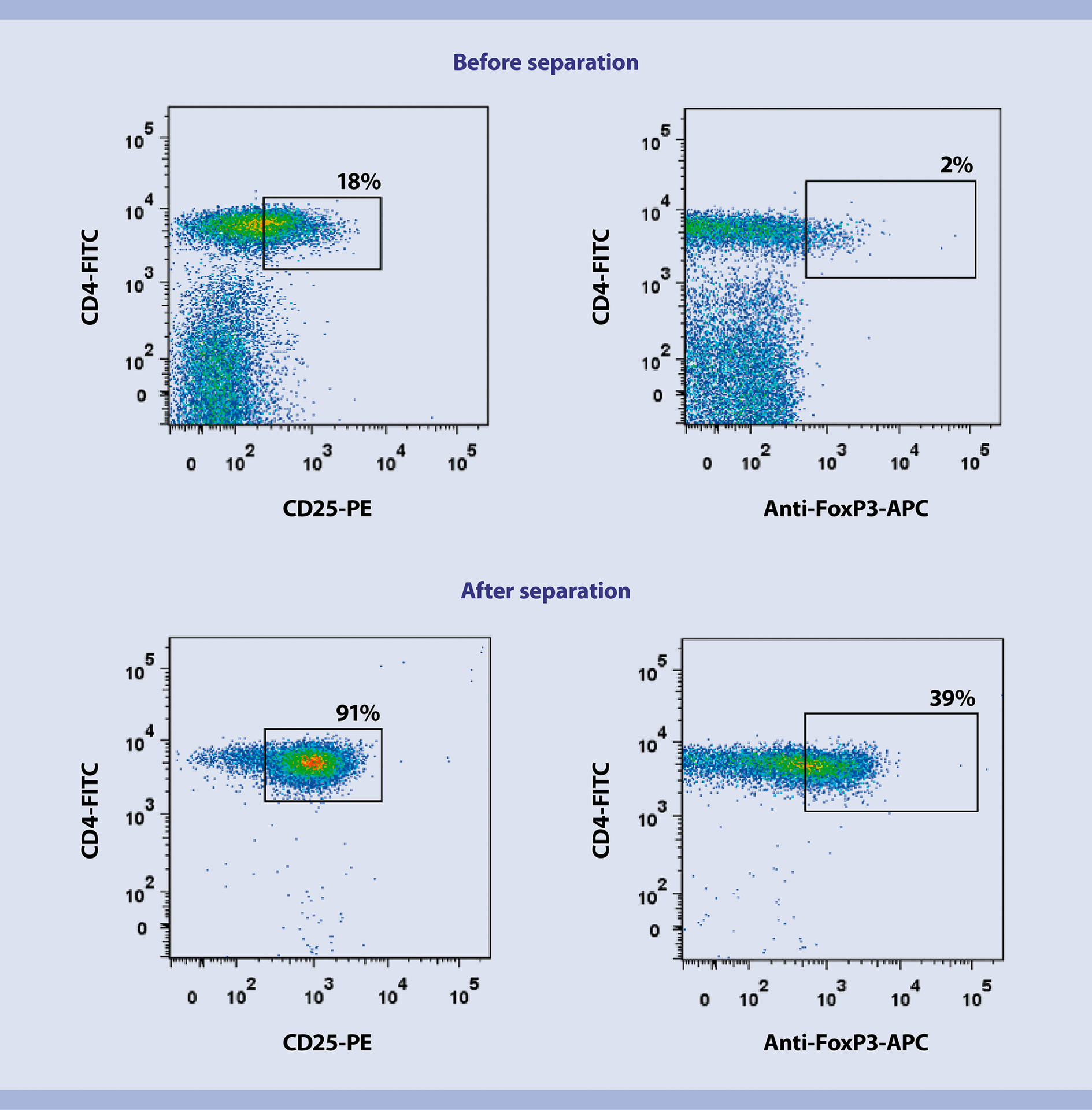 Human CD4 CD25 Regulatory T Cell Isolation In Vitro Expansion And