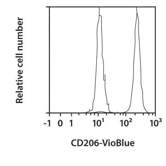 CD206 Antibody, anti-human | CD206 Antibody, anti-human | Miltenyi