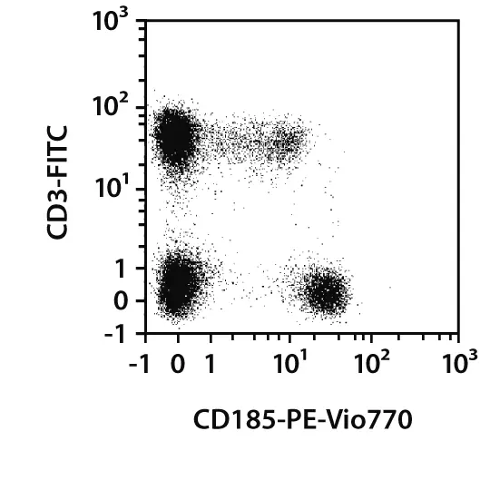 CD185 (CXCR5) Antibody, anti-human, REAfinity™ | Miltenyi Biotec | USA