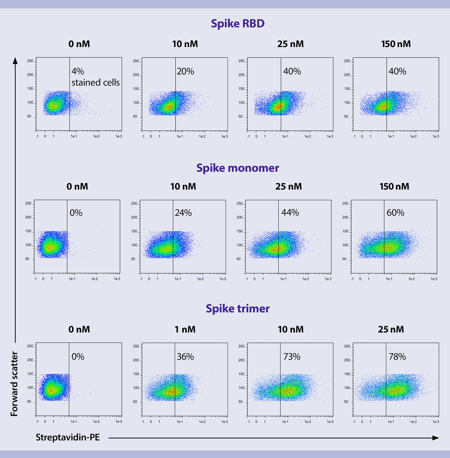 COVID 19 Antigen ACE2 Spike protein Nucleoprotein Envelope protein
