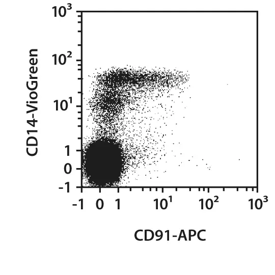 CD91 Antibody, anti-human, REAfinity™ | Miltenyi Biotec | USA