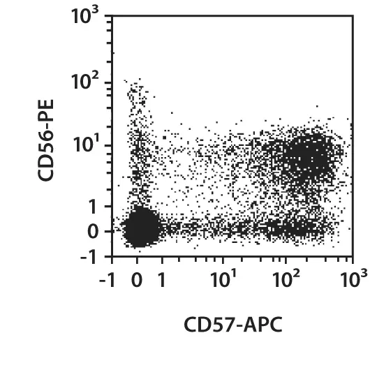 CD57 Antibody, anti-human | Miltenyi Biotec | USA