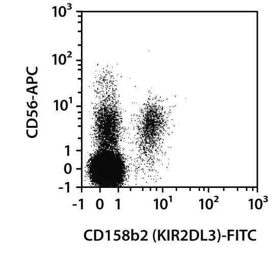 CD158b2 (KIR2DL3) Antibody, anti-human, REAfinity™ | Miltenyi Biotec | USA