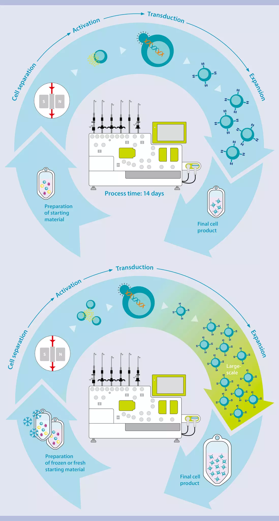 TCR engineered And CAR T Cell Manufacture Miltenyi Biotec USA