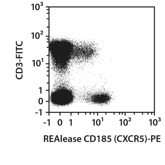 CD185 (CXCR5) Antibody, anti-human, REAlease® | Miltenyi Biotec | USA