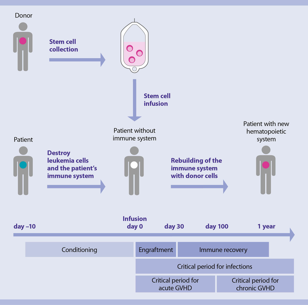 allogeneic bone marrow transplant