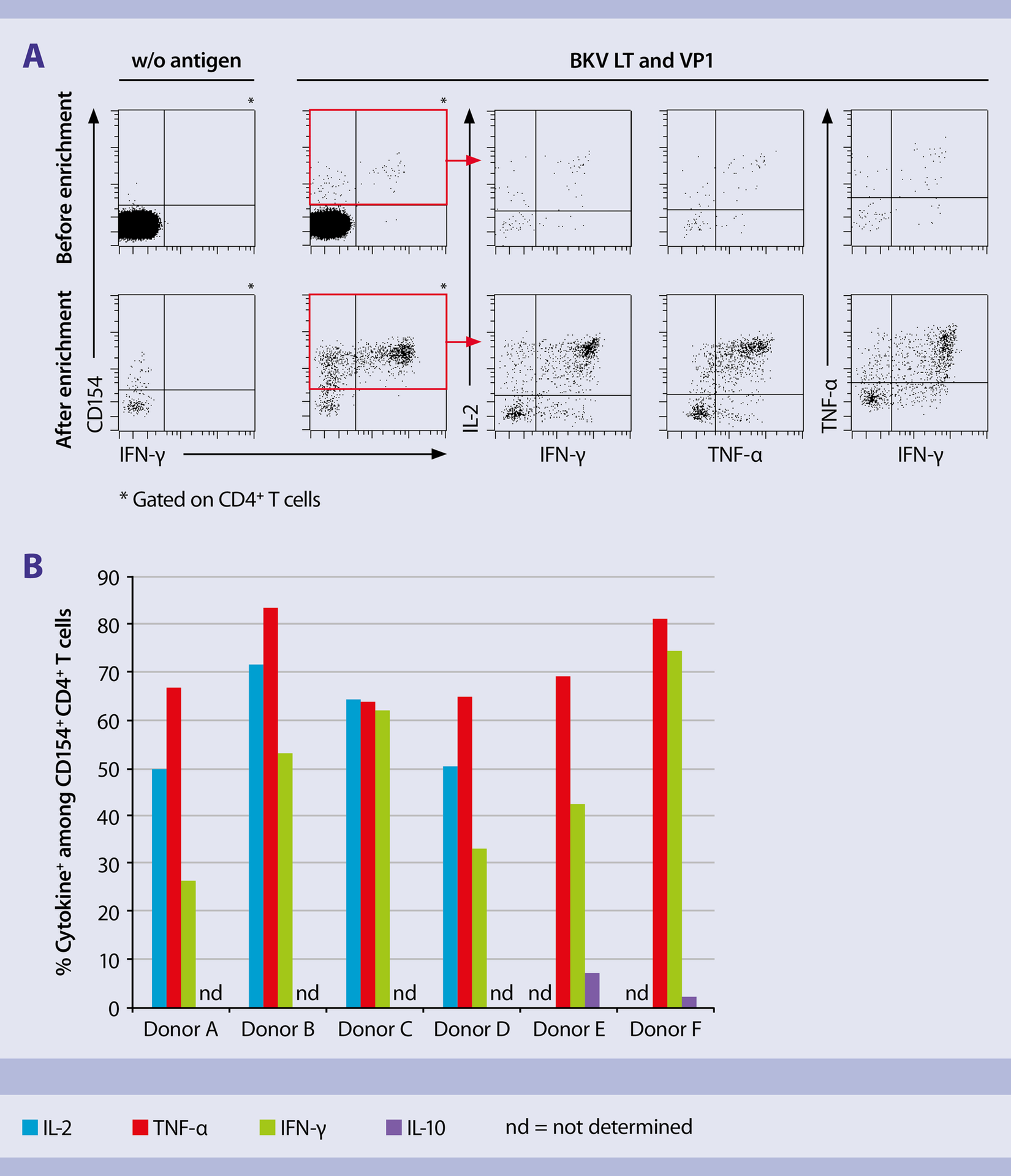 Antigen-specific T Cell Enrichment | Protocol | Miltenyi Biotec | USA