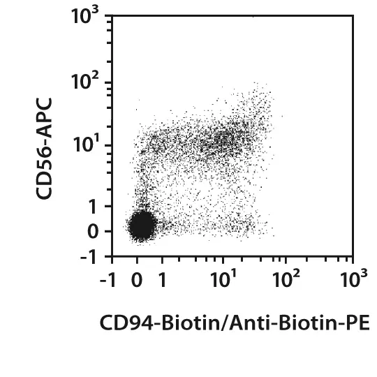 CD94 Antibody, anti-human, REAfinity™ | Miltenyi Biotec | USA