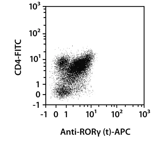RORγ (t) Antibody, anti-human/mouse, REAfinity™ | Miltenyi Biotec | USA