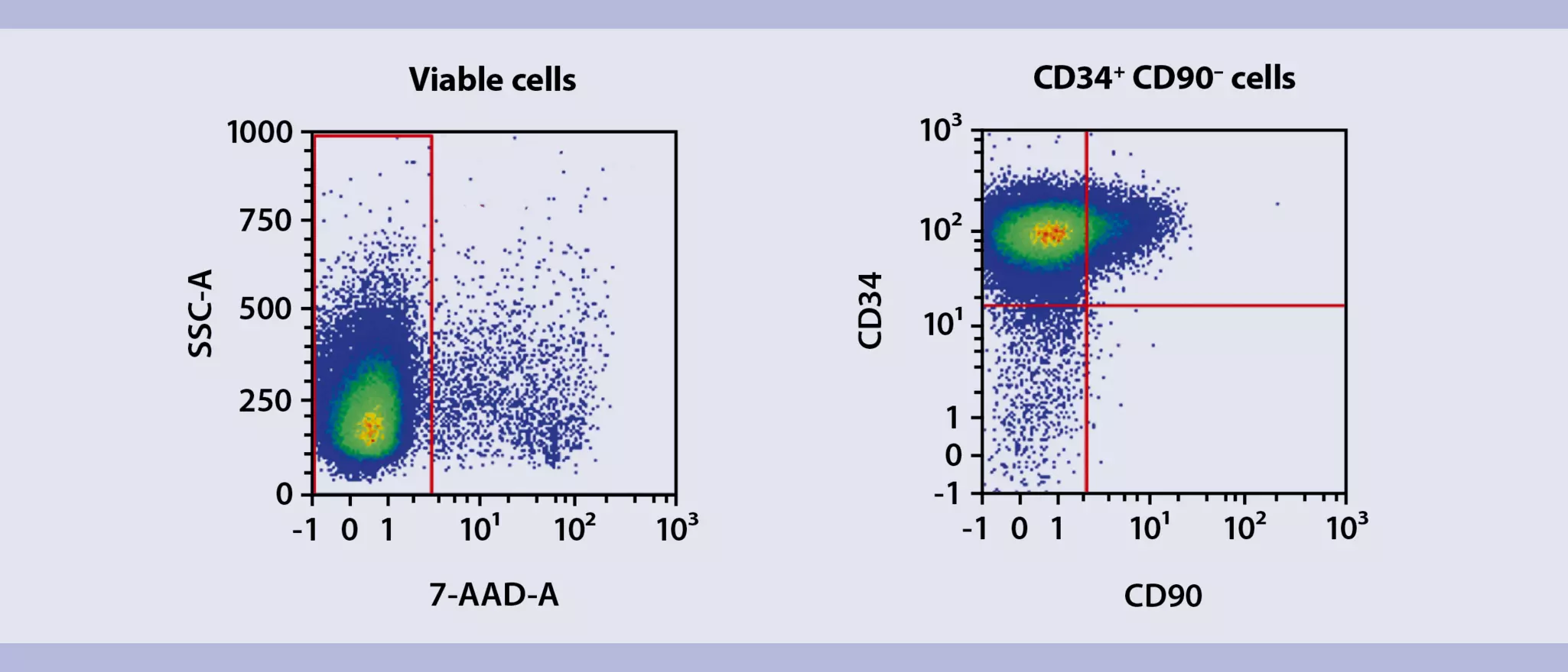 CD34+ humanized mice | Generation and analysis workflows | Miltenyi ...
