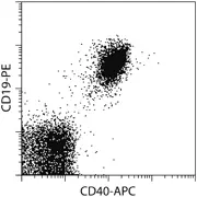 CD40 Antibody, anti-mouse | Miltenyi Biotec | USA