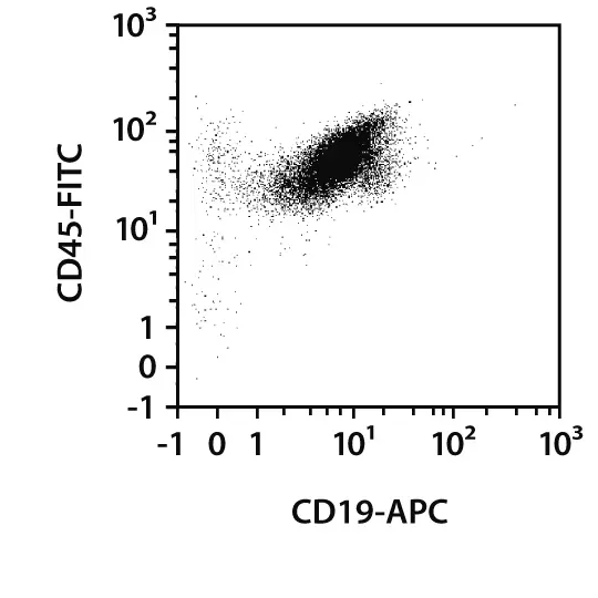 Pan B Cell Isolation Kit II, Mouse | Miltenyi Biotec | USA