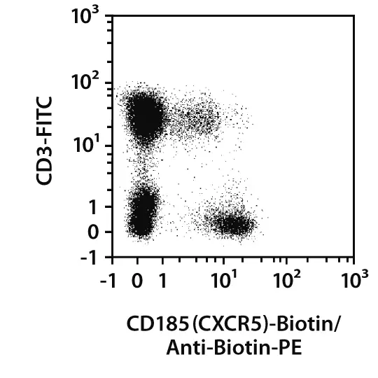 CD185 (CXCR5) Antibody, anti-human, REAfinity™ | Miltenyi Biotec | USA