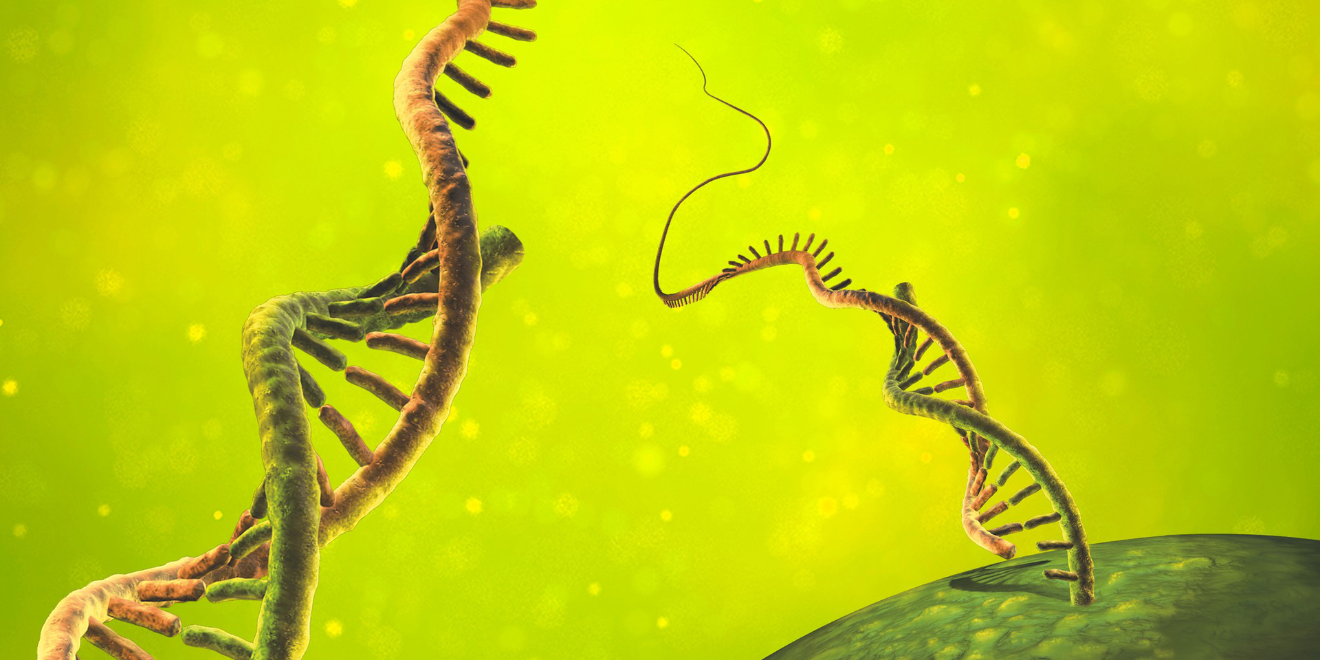Molecular biology products for analysis and research Miltenyi Biotec