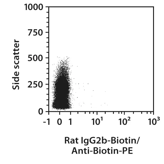 milet CD7枚セット ゴーセン テックガット マルチCX 17／16(1.24／1.30) ナチュラル 240M
