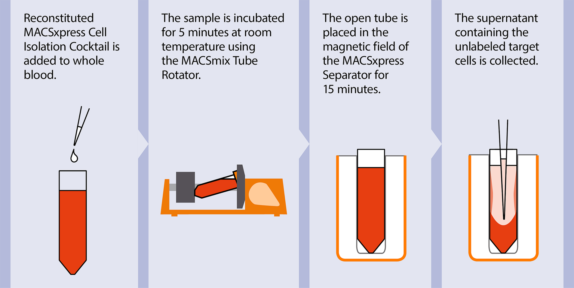 Isolation of NK cells Untouched immune cells Protocol Miltenyi