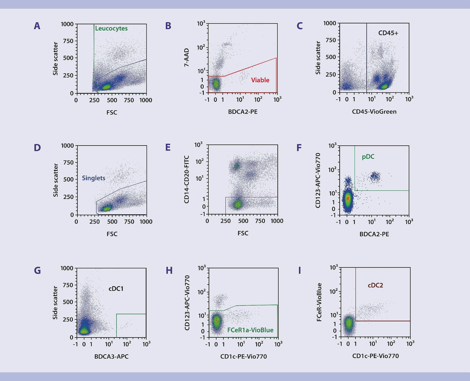 Immunophenotyping | Dendritic Cells | Protocol | Miltenyi Biotec | Schweiz