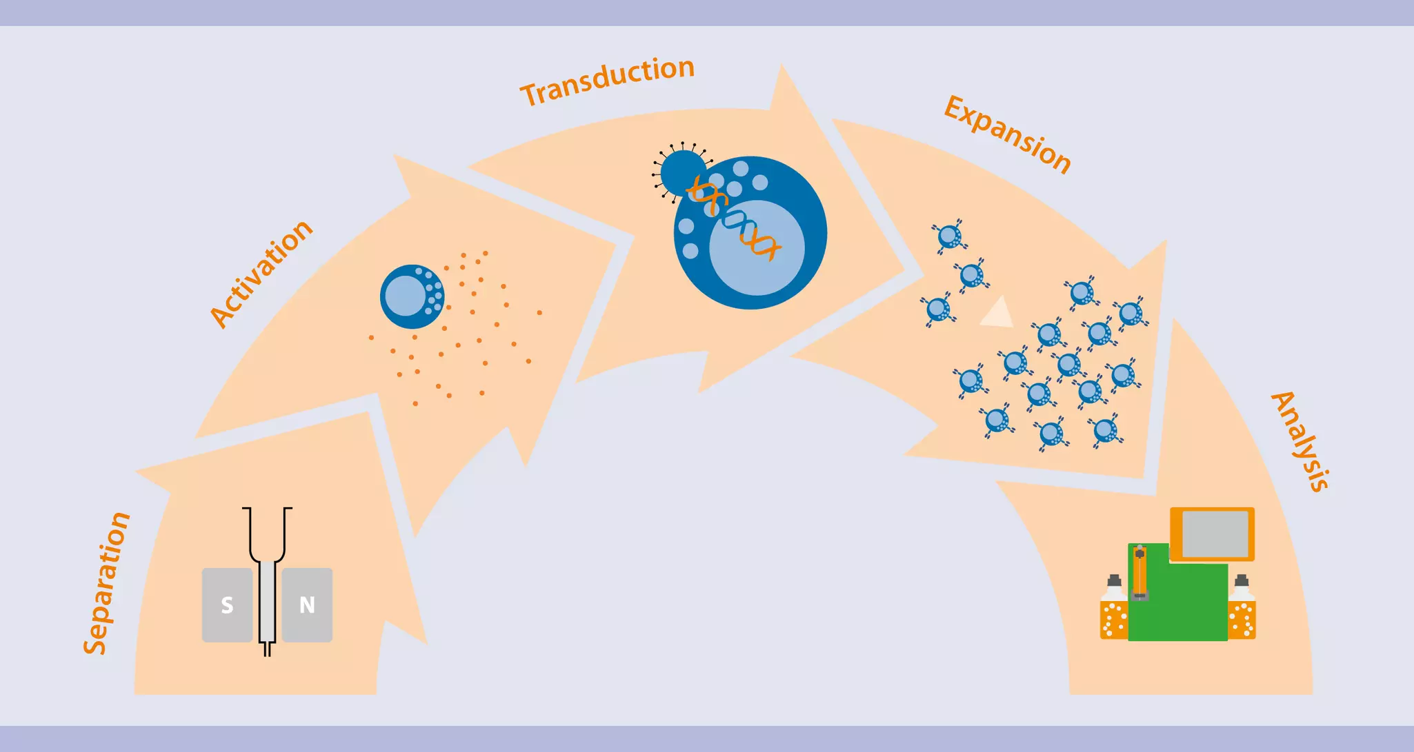 CAR NK cells | Streamlined workflow for generation and analysis