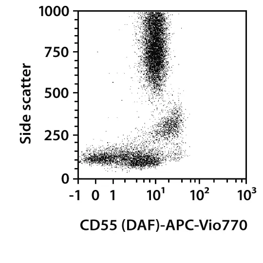 Cd55 Marker