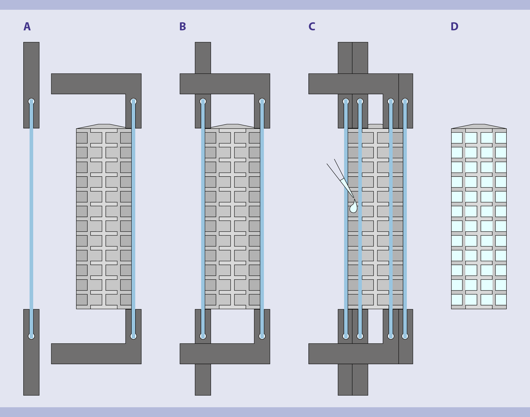 Immunostaining and clearing | Sample holder | Imaging | Miltenyi Biotec ...