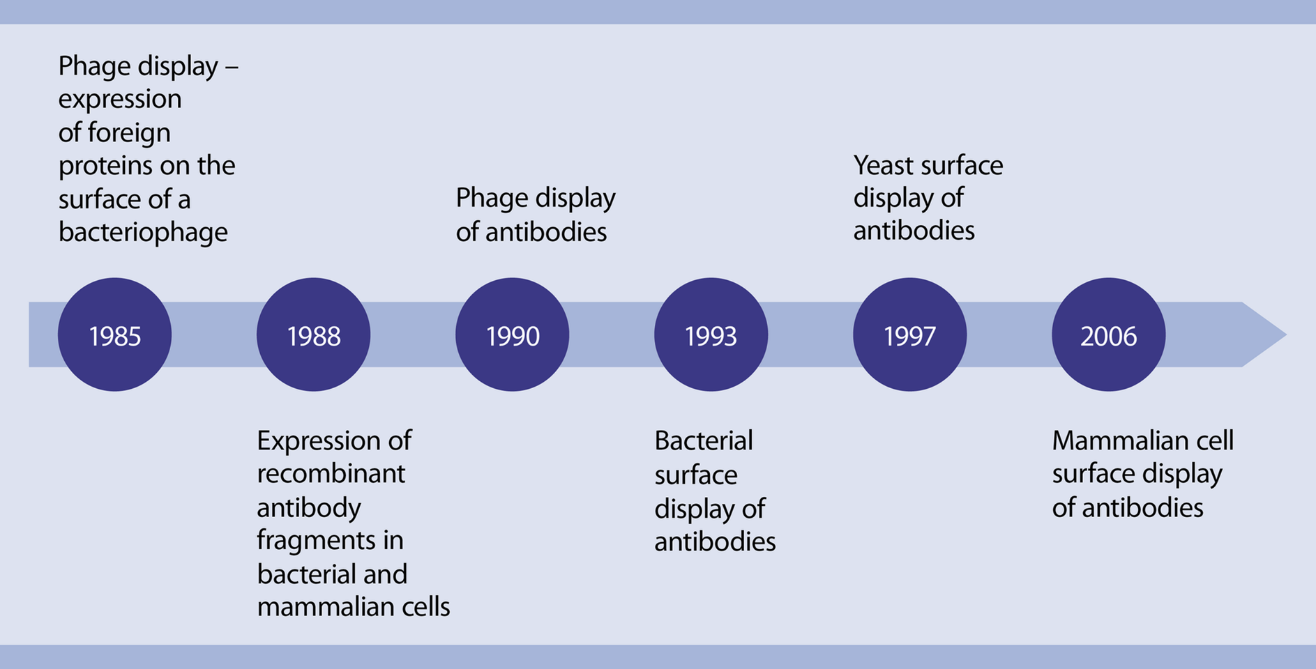 Antibody structure and their use in flow cytometry Miltenyi Biotec USA