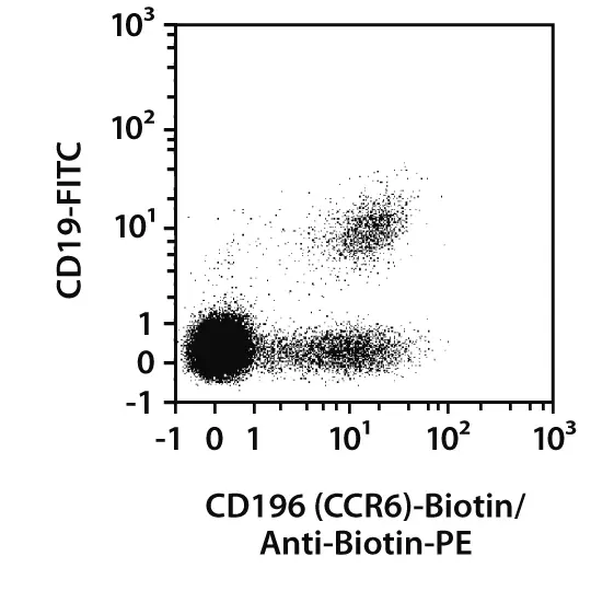 CD196 (CCR6) Antibody, anti-human, REAfinity™ | Miltenyi Biotec | USA