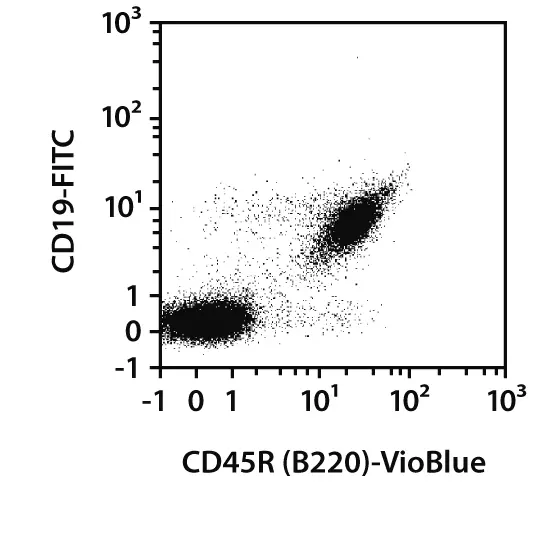 アウフヘーベン ナーチャー CD45 Antibody, anti-mouse, REAfinity™ | Miltenyi Biotec | USA