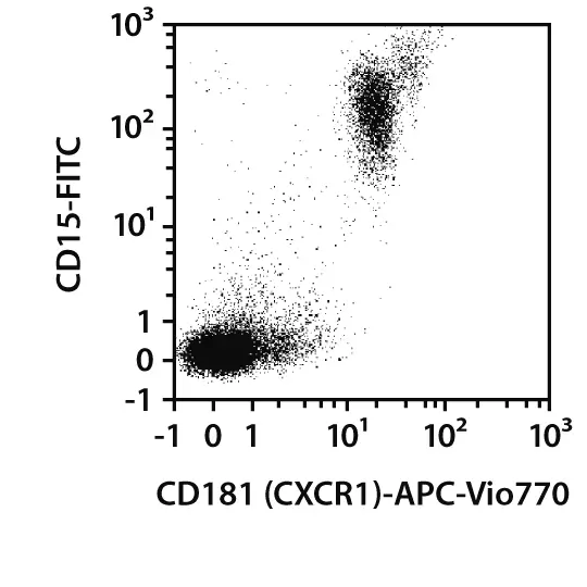 CD181 (CXCR1) Antibody, anti-human, REAfinity™ | Miltenyi Biotec ...