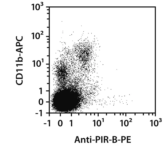 PIR-B Antibody, anti-mouse, REAfinity™ | Miltenyi Biotec | India