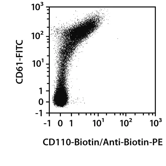 CD110 Antibody, anti-human, REAfinity™ | Recombinant antibodies | MACS ...