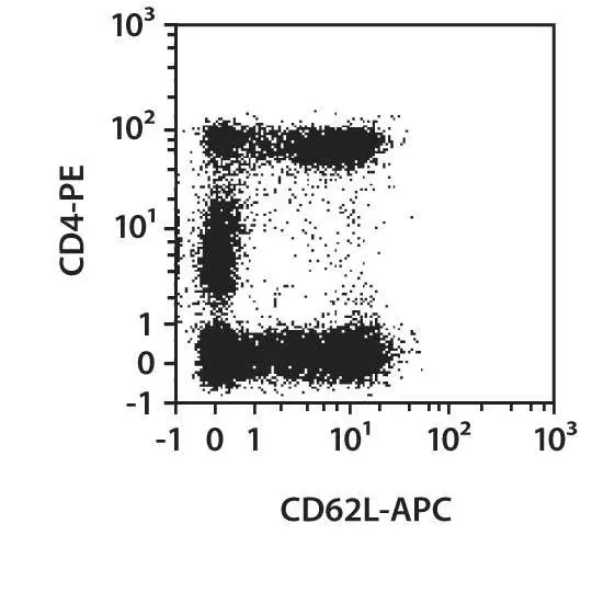 CD62L Antibody, anti-human | Miltenyi Biotec | USA