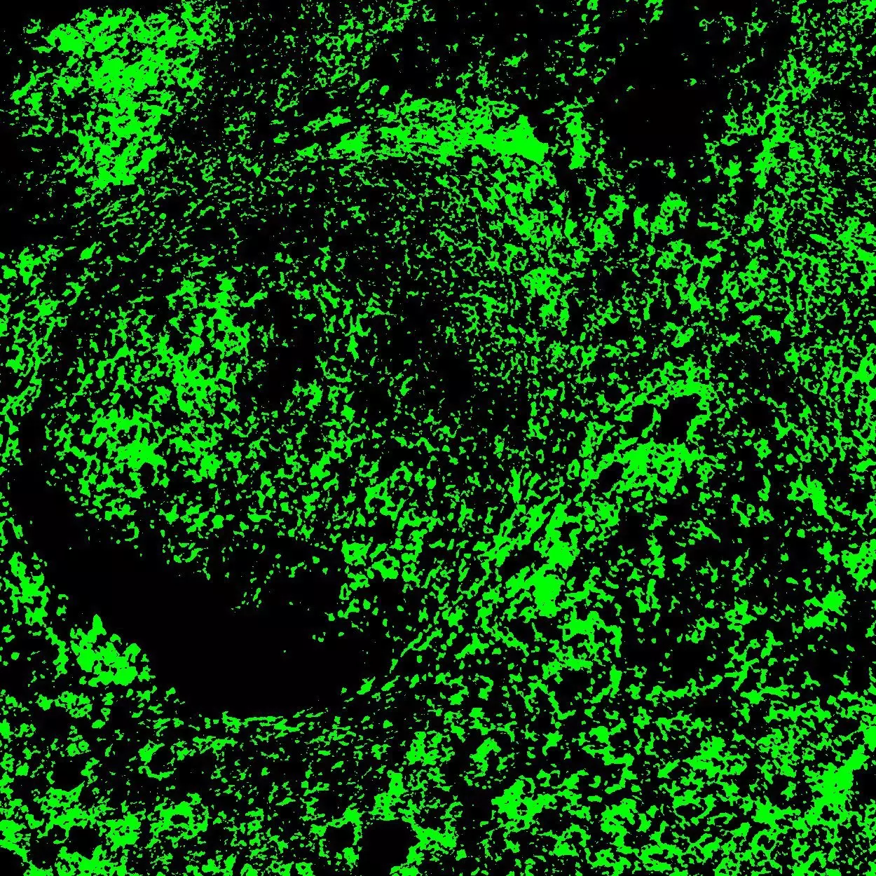 CD49d Antibody, anti-human, REAfinity™ | Miltenyi Biotec | USA