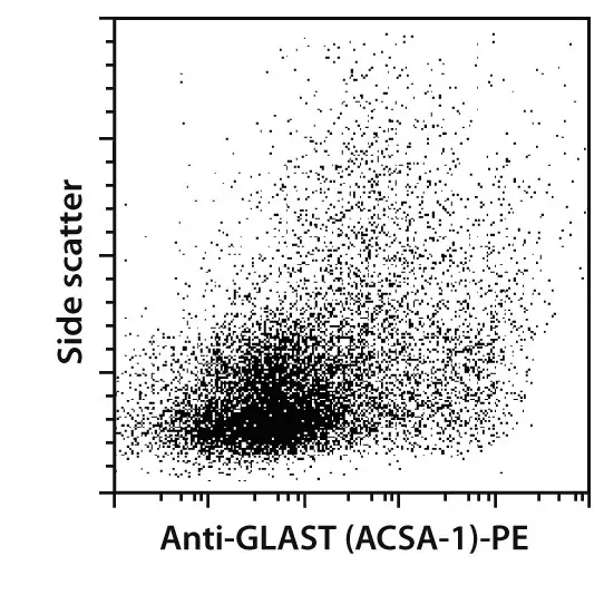 GLAST (ACSA-1) Antibody, anti-human/mouse/rat, Hybridomas, MACS  Antibodies, Products and services