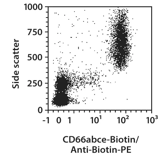 CD66abce Antibody, anti-human | Miltenyi Biotec | USA