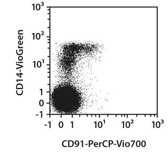 cd0191