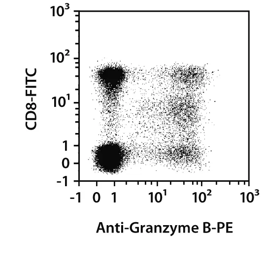 Granzyme B Antibody, Anti-human/mouse/rat, REAfinity™ | Miltenyi Biotec ...