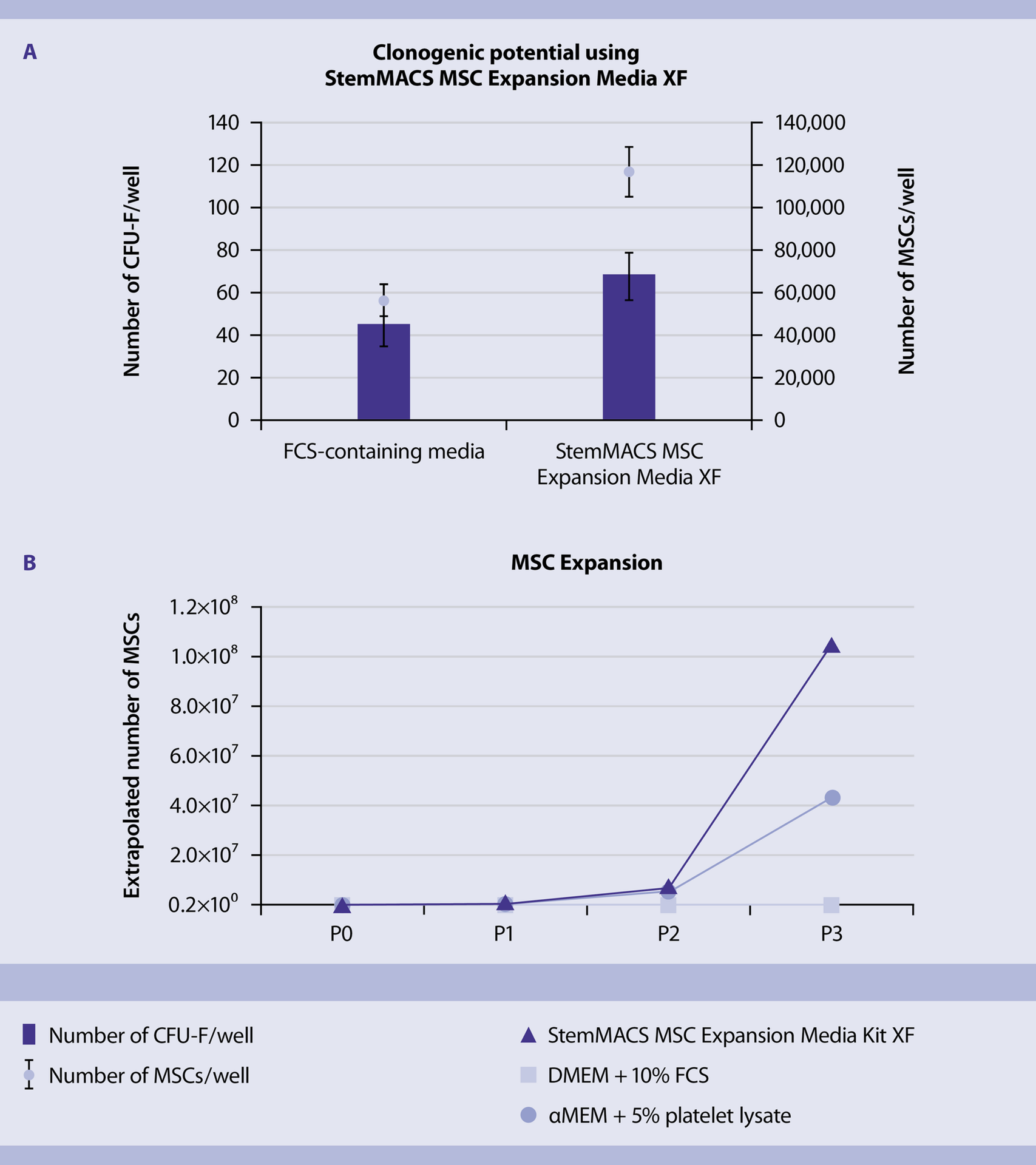 Umbilical Cord Derived Mesenchymal Stem Cells Mscs Miltenyi Biotec Usa 7012