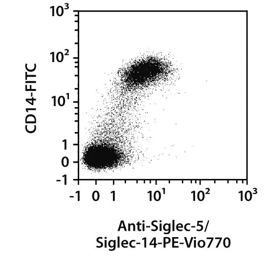 Siglec-5/Siglec-14 Antibody, anti-human, REAfinity™ | Miltenyi Biotec ...